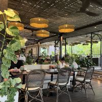 Nice Restaurant   at Plant Bistro in Ubud