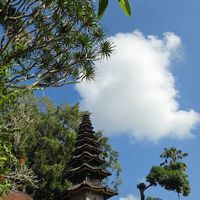  at Plant Bistro in Ubud