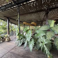   at Plant Bistro in Ubud