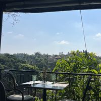   at Plant Bistro in Ubud