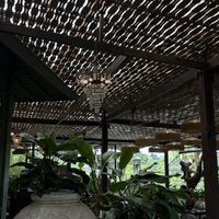   at Plant Bistro in Ubud