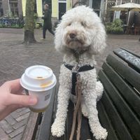 Saar loved her drink!  at Vanneau Cafe in Utrecht