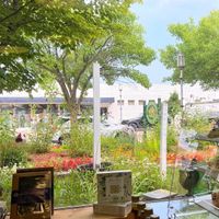 Beautiful view   at The Tea Corner Emporium  in Oscoda