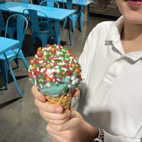 Vegan blue monster is different from regular blue monster. Ask for it if it’s not out front    at The Dolly Llama in Mount Pleasant