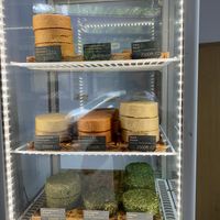   at SajtOm in Budapest