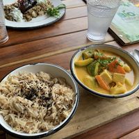 Curry! Not spicy and it’s so good!  #Veganuary at Bio & Natural - Con Constituyentes in Playa Del Carmen