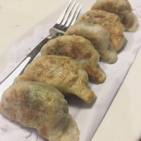 Gyosas at Gong De Lin in Melbourne