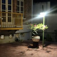 Outdoors at Omlandia in Deli Tua