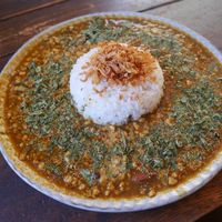 Vegan curry with soy meat and dried onion at Futaba in Ota