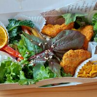 Bento. Most food is hidden under the salad in the photo at Tomoe Kitchen in Kiryu