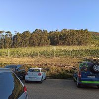  at La Colombe in Constantia