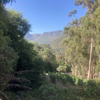   at La Colombe in Constantia