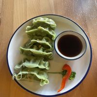 Vegan gyoza  at Sushi Thai Salida in Salida