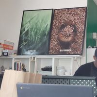  at Flatbelly Veg in Erdenheim