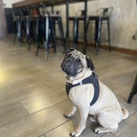   at Amateur Coffee & Run Club in Lima