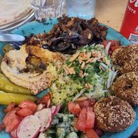  at La Rose in Karlsruhe