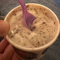 2 oat milk flavors availablee  at SLO à la Mode in San Luis Obispo