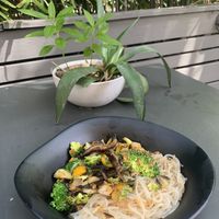 Glass noodles with mushrooms, broccoli and sweet peppers in a spicy sauce.  Very tasty and filling! at Green Bar and Kitchen in Fort Lauderdale