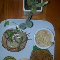 GBK burger (& cactus) at Green Bar and Kitchen in Fort Lauderdale