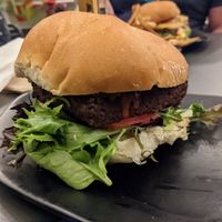 Buffalo Tempe Sandwich at Green Bar and Kitchen in Fort Lauderdale
