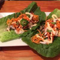 Raw Tacos..... OMG at Green Bar and Kitchen in Fort Lauderdale