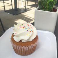 Vegan Cupcake  at Green Bar and Kitchen in Fort Lauderdale