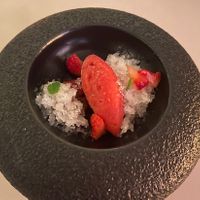 Wild strawberry and lemon balm sorbet - vegan   at Hytra in Athens
