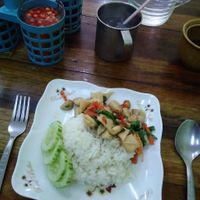 Khao pad kra prao... at Ruean Thong Veg Food in Hua Hin