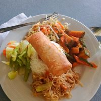 Noodles, veggies, curry and bean shoots dish with spring roll at Andrea's Kawayan Eatery in Panglao