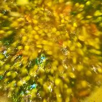  at COFFEE 8 in Williamstown