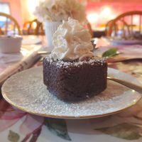 Brownie at Vida Cafe in Fort Worth