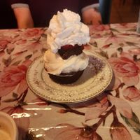  at Vida Cafe in Fort Worth