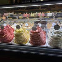 Vegan flavors have green circles  at Anita Gelato  in New York City