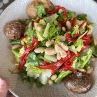 Salad  at Walt Disney World - Three Bridges in Lake Buena Vista