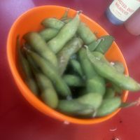   at Knees To Chin in Ghent