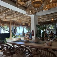 Restaurant  at PLNT+HRVST in El Nido