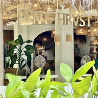   at PLNT+HRVST in El Nido