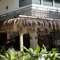   at PLNT+HRVST in El Nido