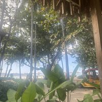   at PLNT+HRVST in El Nido