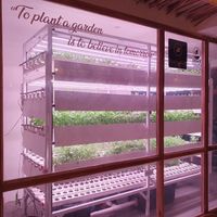  at PLNT+HRVST in El Nido