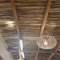  at PLNT+HRVST in El Nido