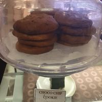  at PLNT+HRVST in El Nido