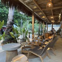   at PLNT+HRVST in El Nido