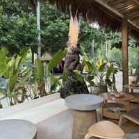   at PLNT+HRVST in El Nido