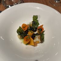 Walk through the forest in autumn: pumpkin prepared in different ways, kale, kalamata olive gel, kalamata olive crumble, cauliflower, herb oil  at Wolfs Junge in Hamburg
