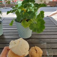 Rose icecream, Coffee ice cream at Vegelateria in Zurich