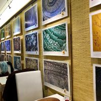 inside at Vegelateria in Zurich