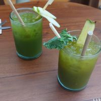  at Begin: Jungla in Gandia