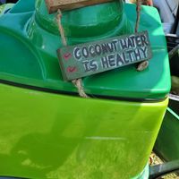 Coconut 🥥 water at Oh My Cod - Vegan Seafood in Palm Coast