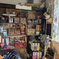 Vegan dog treats amongst the options at Fodder And Chisit Ltd in Hinckley